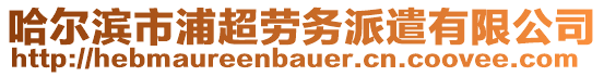 哈爾濱市浦超勞務(wù)派遣有限公司