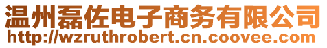 溫州磊佐電子商務(wù)有限公司