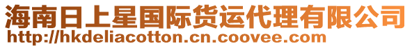 海南日上星國(guó)際貨運(yùn)代理有限公司