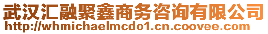 武漢匯融聚鑫商務(wù)咨詢有限公司