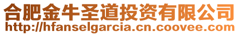 合肥金牛圣道投資有限公司