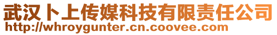 武漢卜上傳媒科技有限責任公司