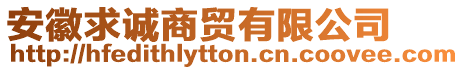 安徽求誠商貿(mào)有限公司