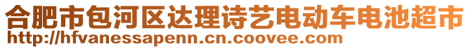 合肥市包河区达理诗艺电动车电池超市