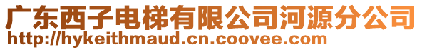 廣東西子電梯有限公司河源分公司