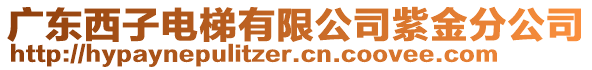 廣東西子電梯有限公司紫金分公司