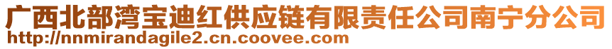 廣西北部灣寶迪紅供應鏈有限責任公司南寧分公司
