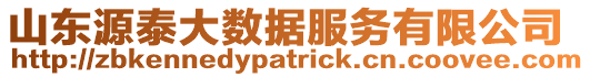 山東源泰大數(shù)據(jù)服務(wù)有限公司