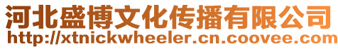 河北盛博文化傳播有限公司