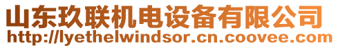 山東玖聯(lián)機(jī)電設(shè)備有限公司