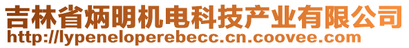 吉林省炳明機(jī)電科技產(chǎn)業(yè)有限公司