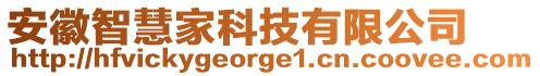 安徽智慧家科技有限公司