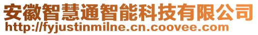 安徽智慧通智能科技有限公司