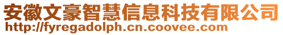 安徽文豪智慧信息科技有限公司