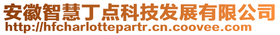 安徽智慧丁點科技發展有限公司