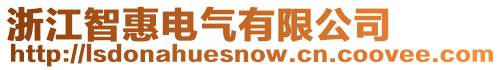 浙江智惠電氣有限公司