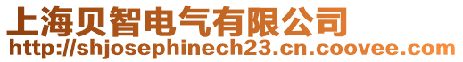 上海貝智電氣有限公司