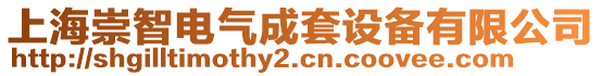上海崇智電氣成套設備有限公司