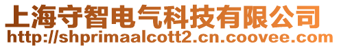 上海守智電氣科技有限公司