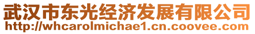 武漢市東光經濟發展有限公司