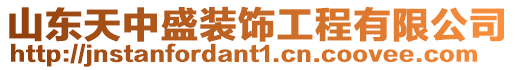 山東天中盛裝飾工程有限公司