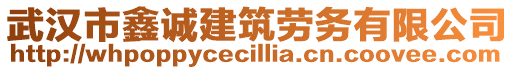 武漢市鑫誠建筑勞務(wù)有限公司