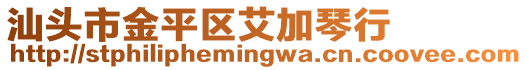 汕頭市金平區(qū)艾加琴行