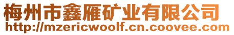 梅州市鑫雁礦業(yè)有限公司