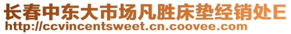 長春中東大市場凡勝床墊經(jīng)銷處E