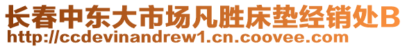 長春中東大市場凡勝床墊經(jīng)銷處B