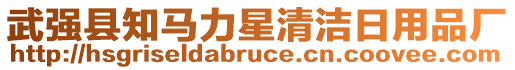 武強縣知馬力星清潔日用品廠
