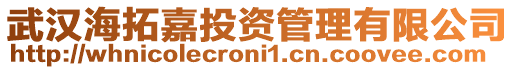 武漢海拓嘉投資管理有限公司