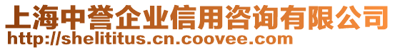 上海中譽企業(yè)信用咨詢有限公司