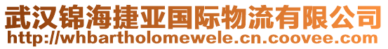 武漢錦海捷亞國(guó)際物流有限公司