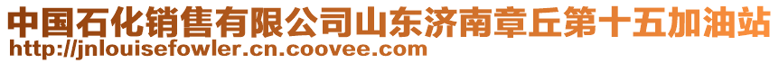 中國石化銷售有限公司山東濟(jì)南章丘第十五加油站