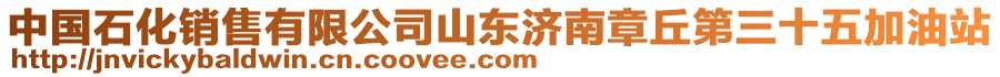 中國石化銷售有限公司山東濟南章丘第三十五加油站