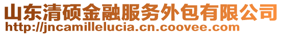 山東清碩金融服務外包有限公司