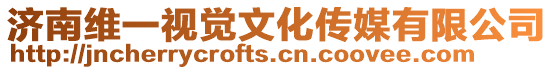 濟南維一視覺文化傳媒有限公司