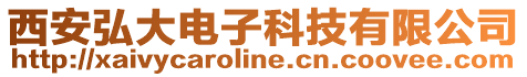 西安弘大電子科技有限公司