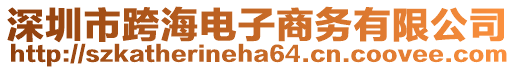 深圳市跨海電子商務有限公司