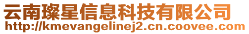 云南璨星信息科技有限公司