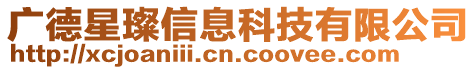 廣德星璨信息科技有限公司