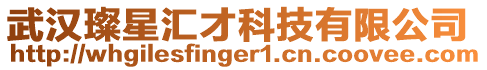 武漢璨星匯才科技有限公司