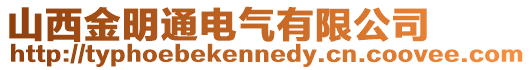 山西金明通電氣有限公司