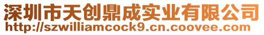 深圳市天創鼎成實業有限公司