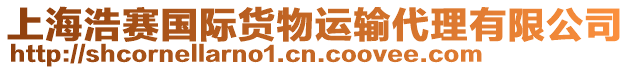上海浩賽國際貨物運輸代理有限公司