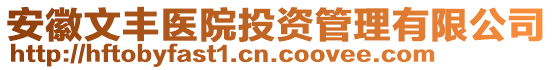 安徽文豐醫(yī)院投資管理有限公司