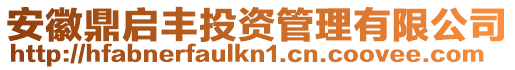 安徽鼎啟豐投資管理有限公司