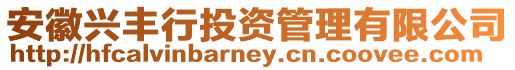 安徽興豐行投資管理有限公司