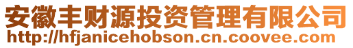 安徽豐財源投資管理有限公司